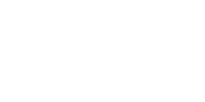 malpensa taxi service minivan